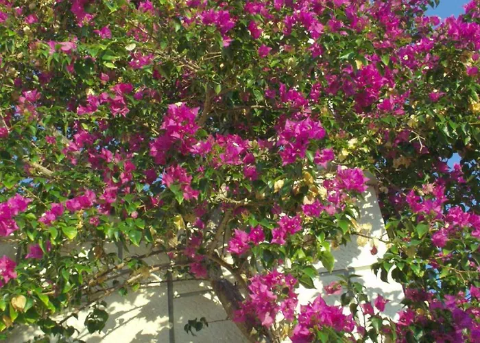 Apartment 740b Postira