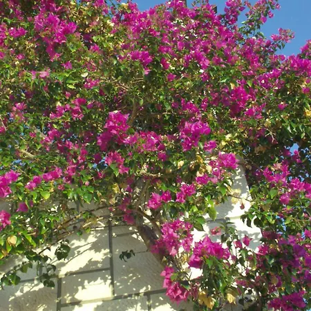 アパート 740b ポスティレ